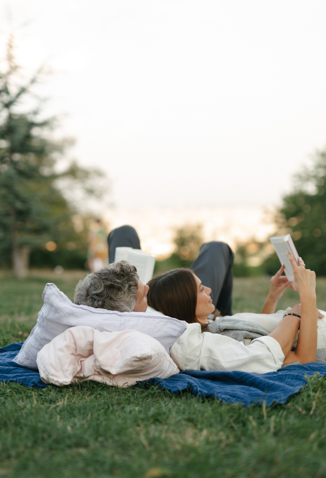 PicknickSpotFinden Image